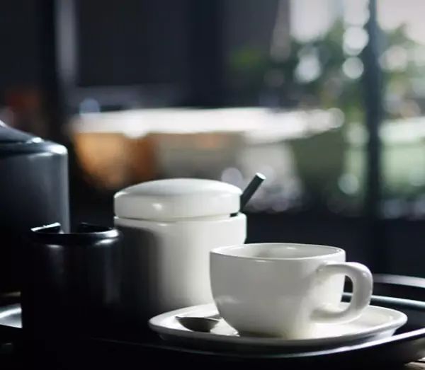 Liu Zongli, Vater des japanischen Industriedesigns